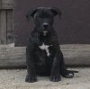 MANOLO DE KING ZULU