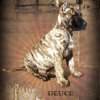 KNIGHT'S DEUCE