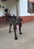 RAGNAR DA CASA CAMARINHA