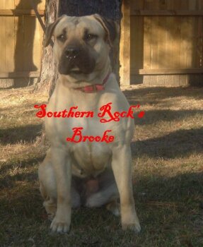 SOUTHERN ROCK'S BROOKE