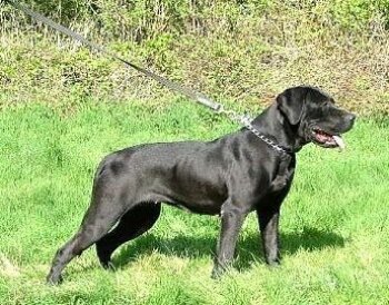 TILLY J7