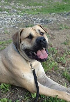 ZAX FUERTO CANARIO
