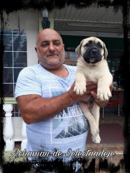 ACHAMAN DE SELECTA ADEJE