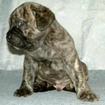 LENNOX
