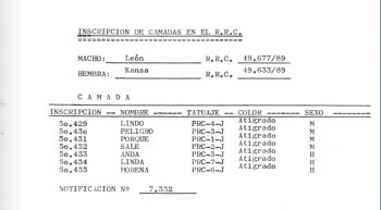 SALE DE LOS ENANOS