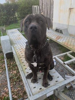 PABLO DE LA HUELLA DEL PRESA CANARIO