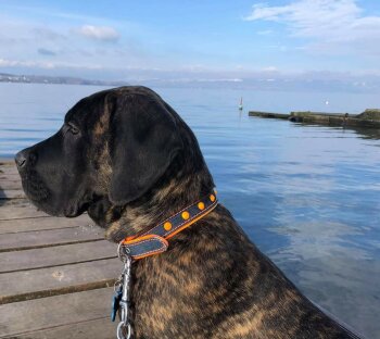 R'HULK DE LA HUELLA DEL PRESA CANARIO
