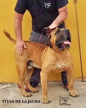 TITAN DE LA JACHA