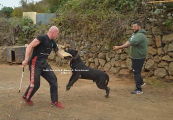 DIABLO DE MATANZA KENNEL LA CUEVA