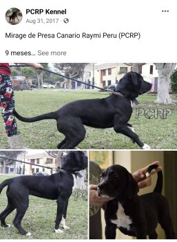MIRAGE DE PCRP