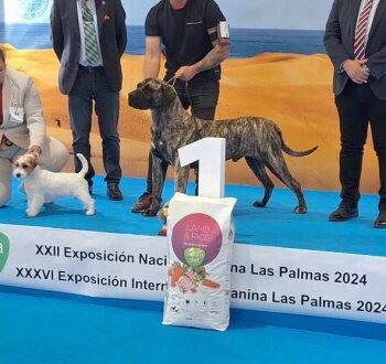 DANTE CANARIKENNEL