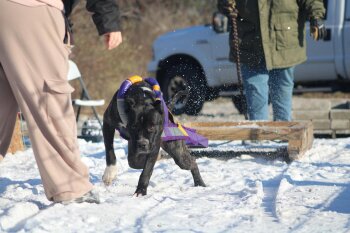 DASH UWP LYKAIOS NO JUSTICE ON SUNDAY