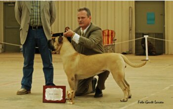 BRAVO KENNEL'S NAY-NA