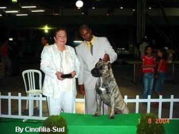 FEISAL DE LOS CARDONES